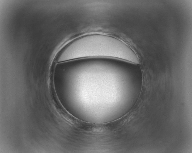 X0000063520344200601201131