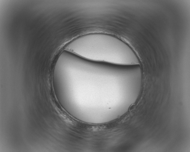 X0000063520345200601201131