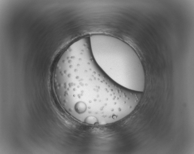 X0000063520346200601201131