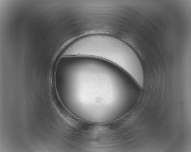 X0000063520348200601201131