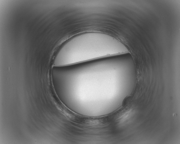 X0000063520349200601201131