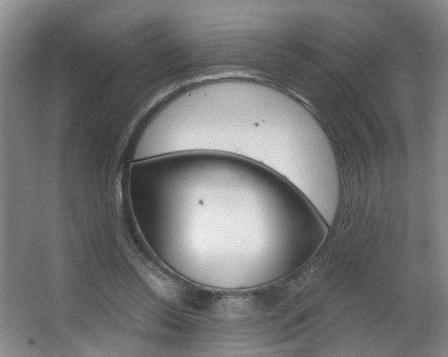 X0000063520350200601201131