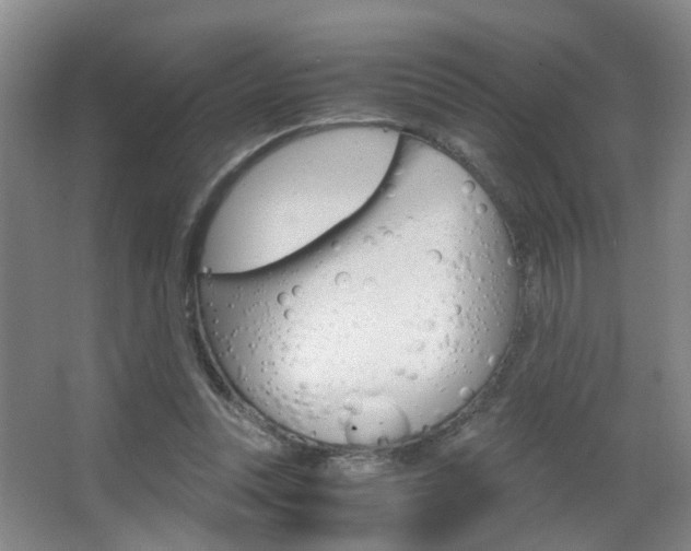 X0000063520351200601201131