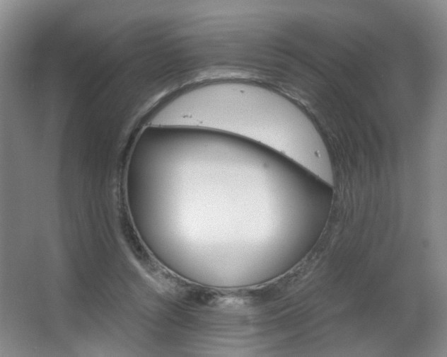 X0000063520352200601201131