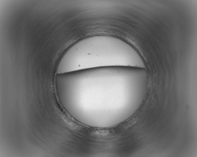 X0000063520353200601201131