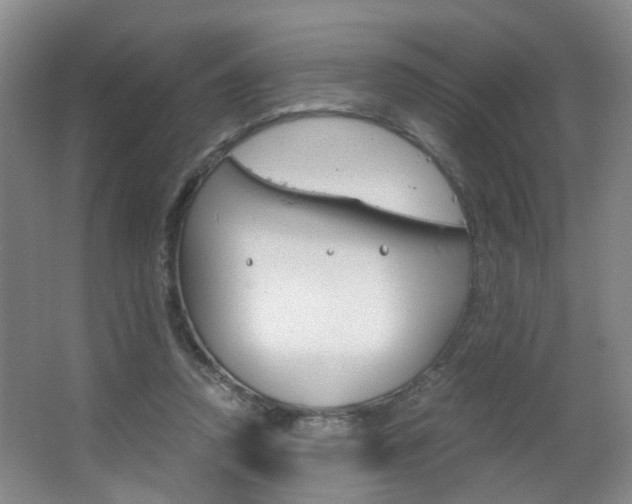 X0000063520354200601201131