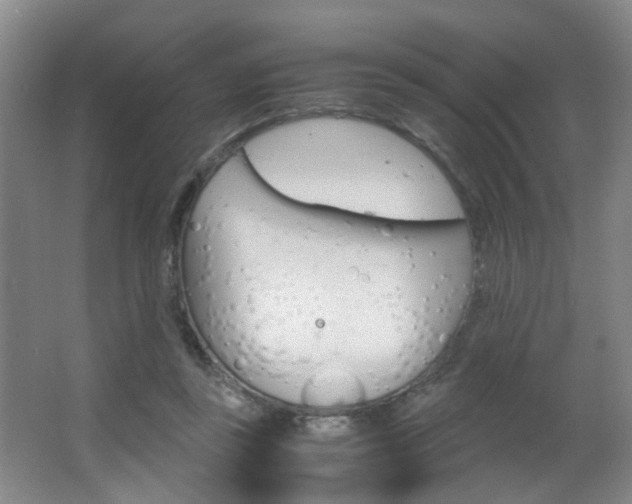 X0000063520355200601201131