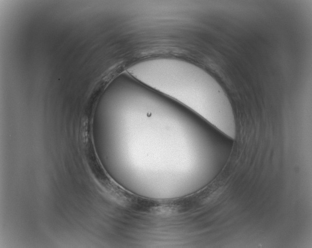 X0000063520356200601201131