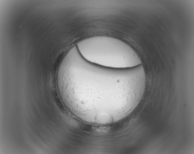 X0000063520359200601201131