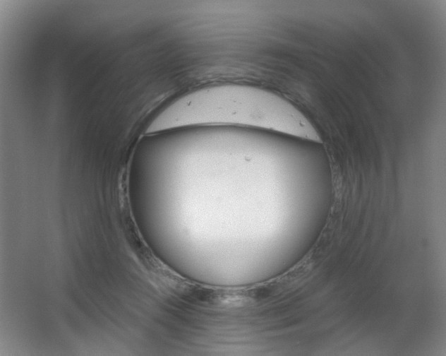 X0000063520360200601201131