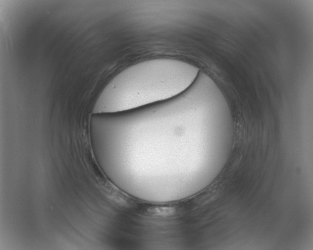 X0000063520361200601201131