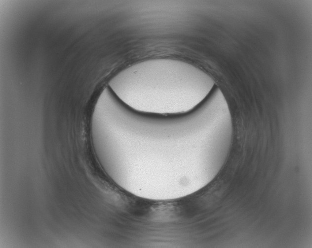 X0000063520362200601201131