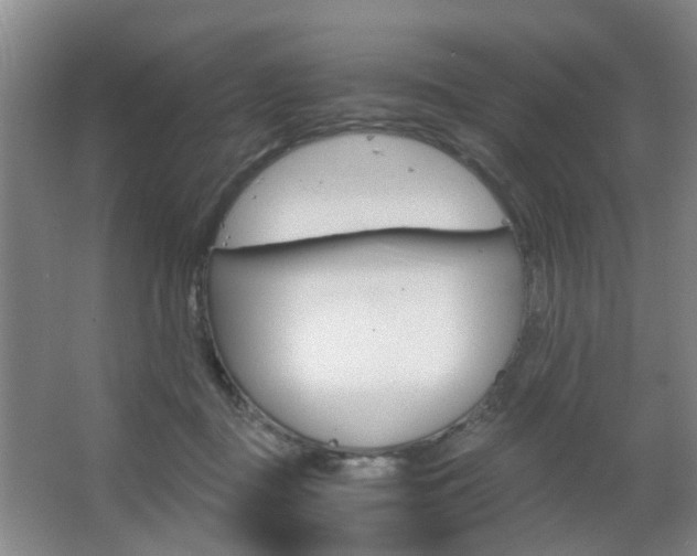 X0000063520363200601201131