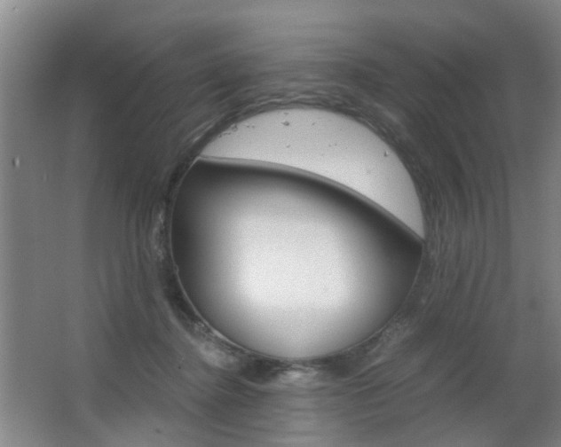 X0000063520364200601201131