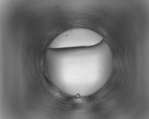 X0000063520365200601201131