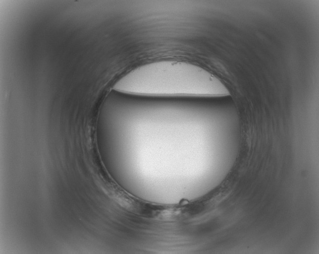 X0000063520366200601201131