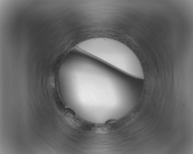 X0000063520368200601201131