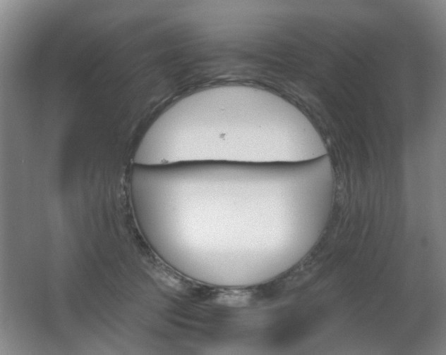 X0000063520369200601201131