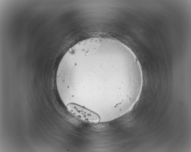 X0000063520370200601201131