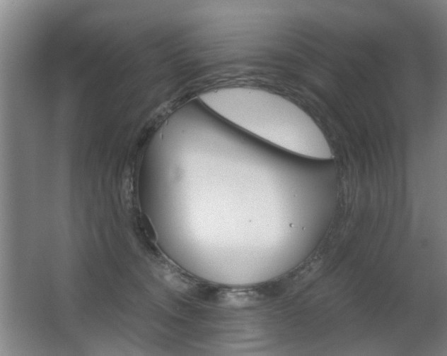 X0000063520372200601201131