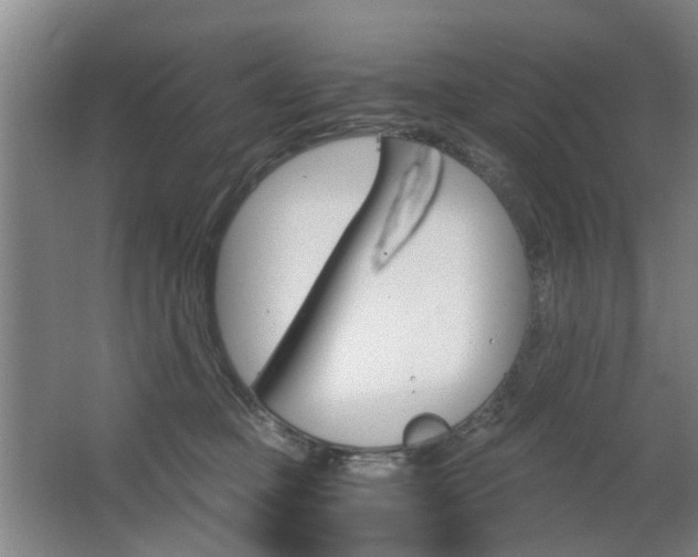 X0000063520373200601201131