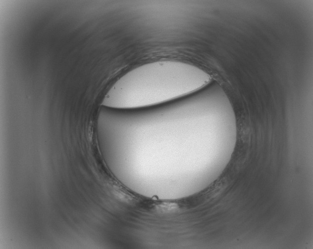 X0000063520374200601201131