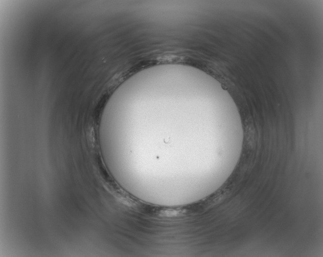 X0000063520375200601201131