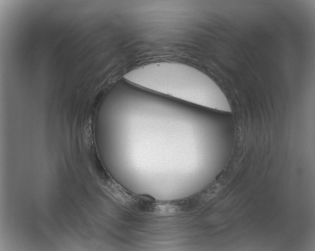 X0000063520376200601201132