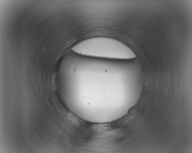 X0000063520378200601201132