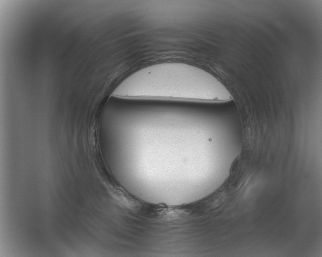 X0000063520379200601201132