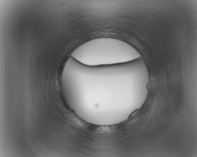 X0000063520381200601201132