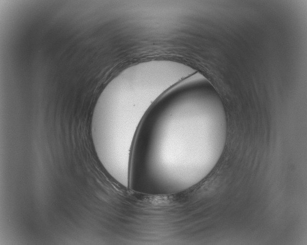 X0000063520384200601201132