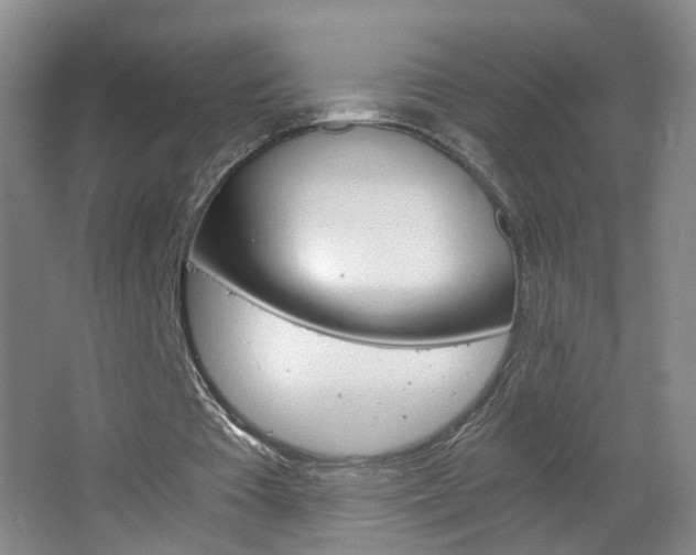 X0000063520385200601201131