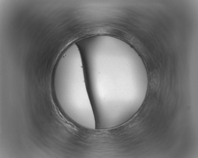 X0000063520386200601201131