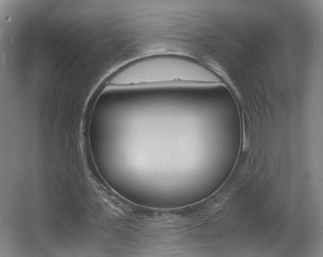 X0000063520387200601201131