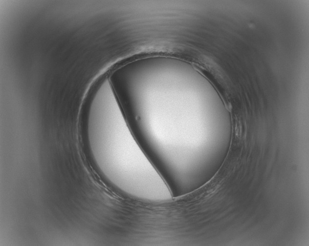 X0000063520388200601201131