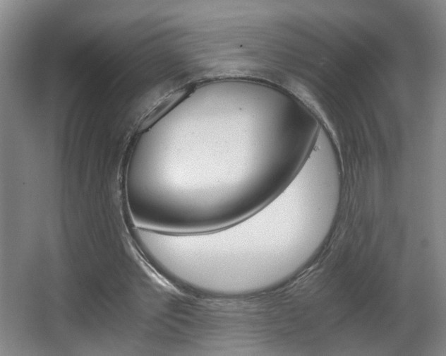 X0000063520389200601201131