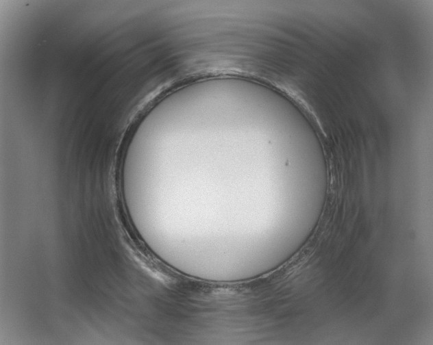 X0000063520390200601201131