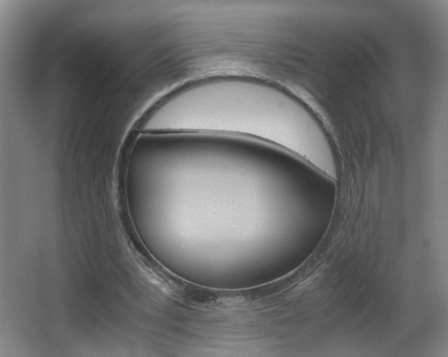 X0000063520391200601201131