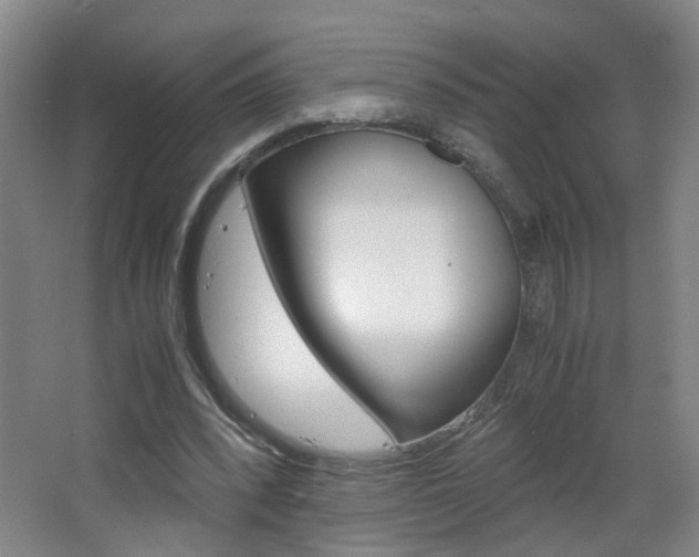 X0000063520392200601201131