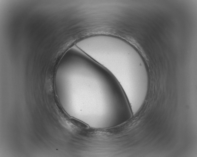 X0000063520393200601201131