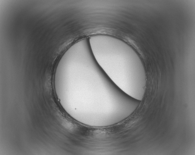 X0000063520394200601201131