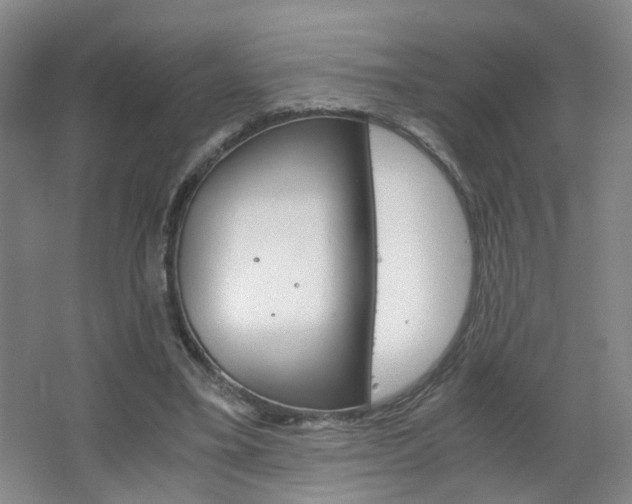 X0000063520395200601201131