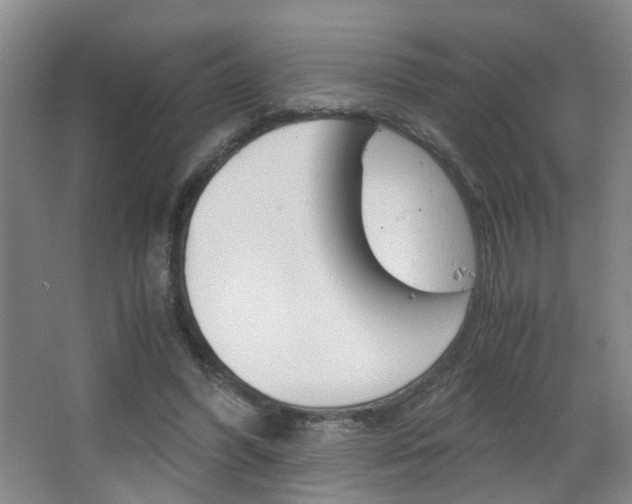 X0000063520396200601201131