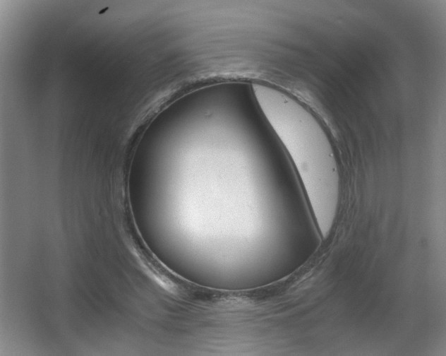 X0000063520397200601201131