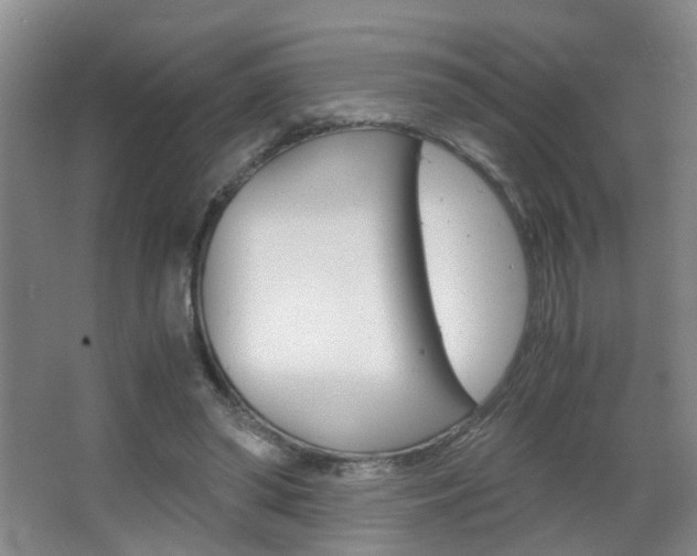 X0000063520398200601201131