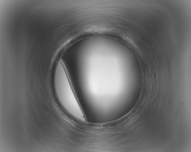 X0000063520399200601201131