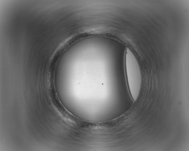 X0000063520400200601201131