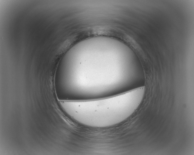 X0000063520401200601201131