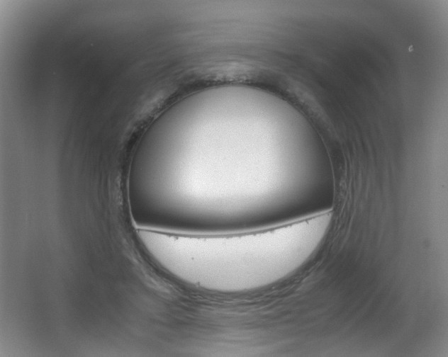 X0000063520403200601201131